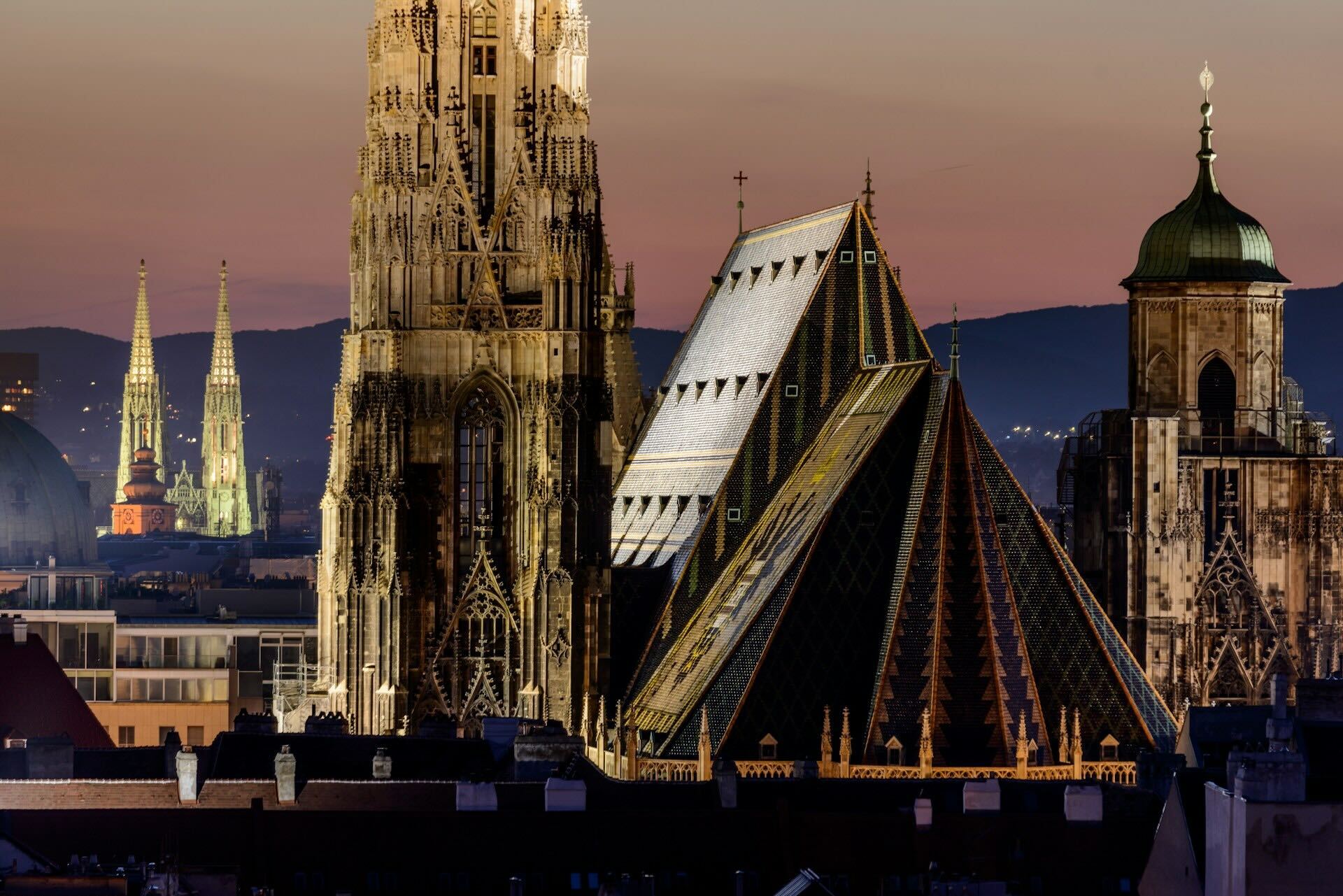 Bild von Wien